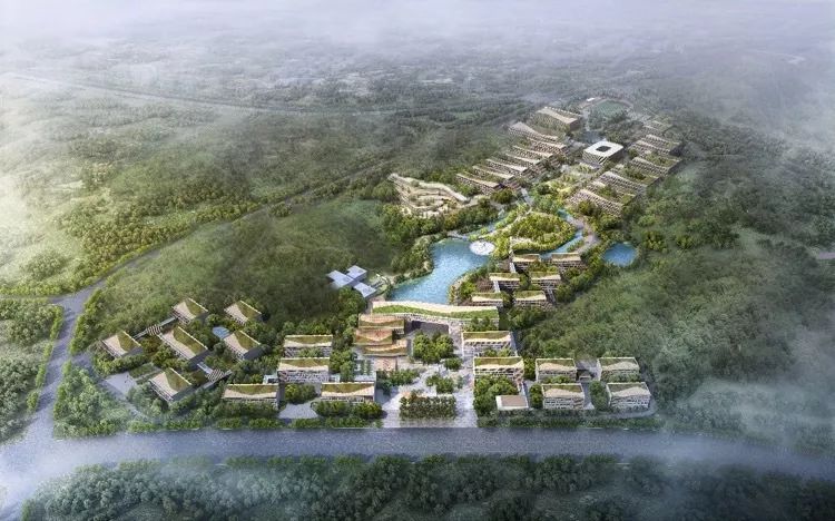 2025澳门原料网
