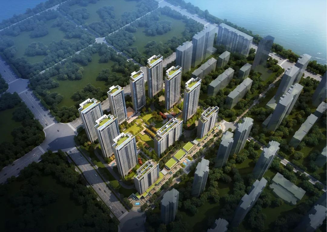 2025澳门原料网