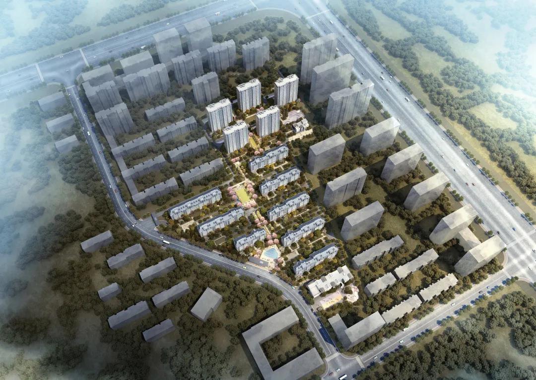 2025澳门原料网