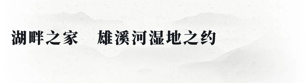 2025澳门原料网