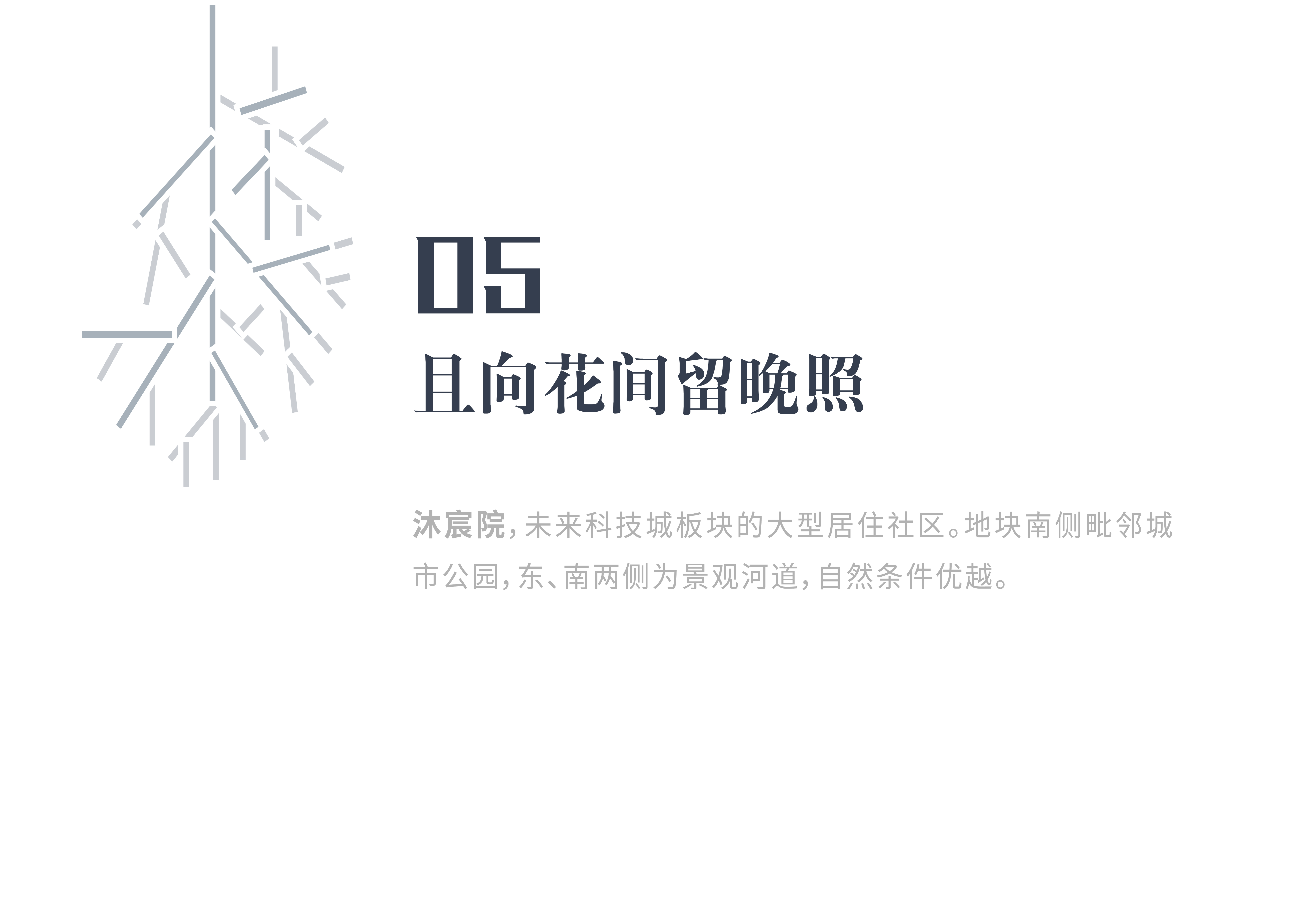 2025澳门原料网