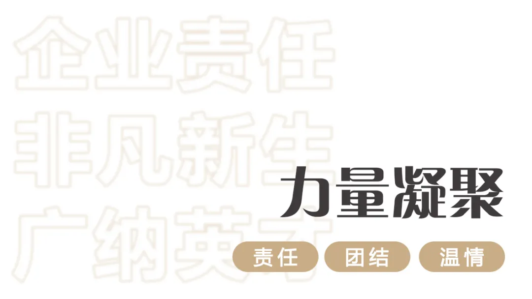 2025澳门原料网
